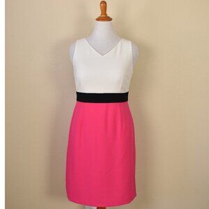 Kasper Color Block Dress